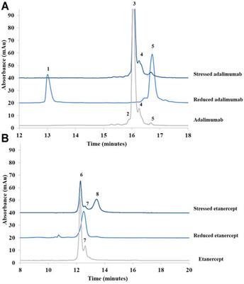 Comparison of Three Complementary Analytical Techniques for the Evaluation of the Biosimilar Comparability of a Monoclonal Antibody and an Fc-Fusion Protein